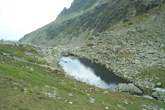 koziepleso.jpg (58780 Byte)