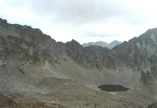 okruhlepleso.jpg (39383 Byte)